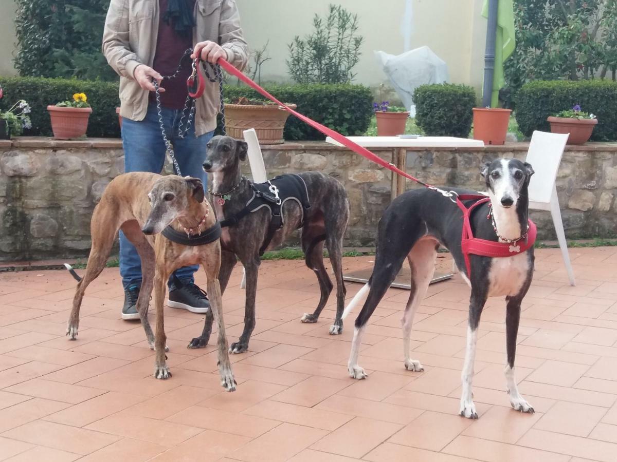 Casale Dei Cento Acri Acomodação com café da manhã Florença Exterior foto